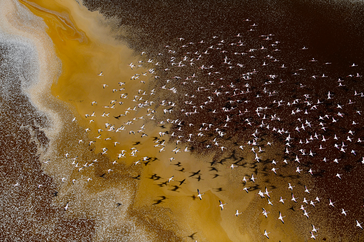 © Young Environmental Photographer of the Year - Nikon Award: Beautiful but Hostile Colours on Earth, Fayz Khan, 2022. Birds flying over contaminated water source Lakes in Kenya