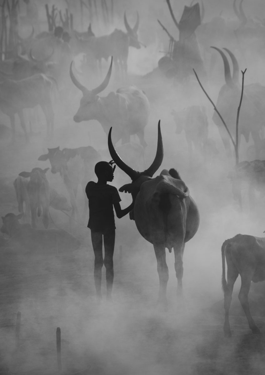 Ghosts, a dramatic black-and-white photograph of the Mundari tribe of South Sudan appearing among the nightly fires they light to keep the tsetse flies and mosquitoes off their beloved Ankole-Watusi cows. © Max Vere-Hodge, United Kingdom, Winner, Open Competition, Travel, Sony World Photography Awards 2023