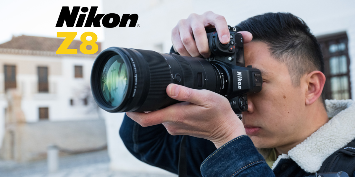 Nikon Z8 Gallery - The Photography Hobbyist
