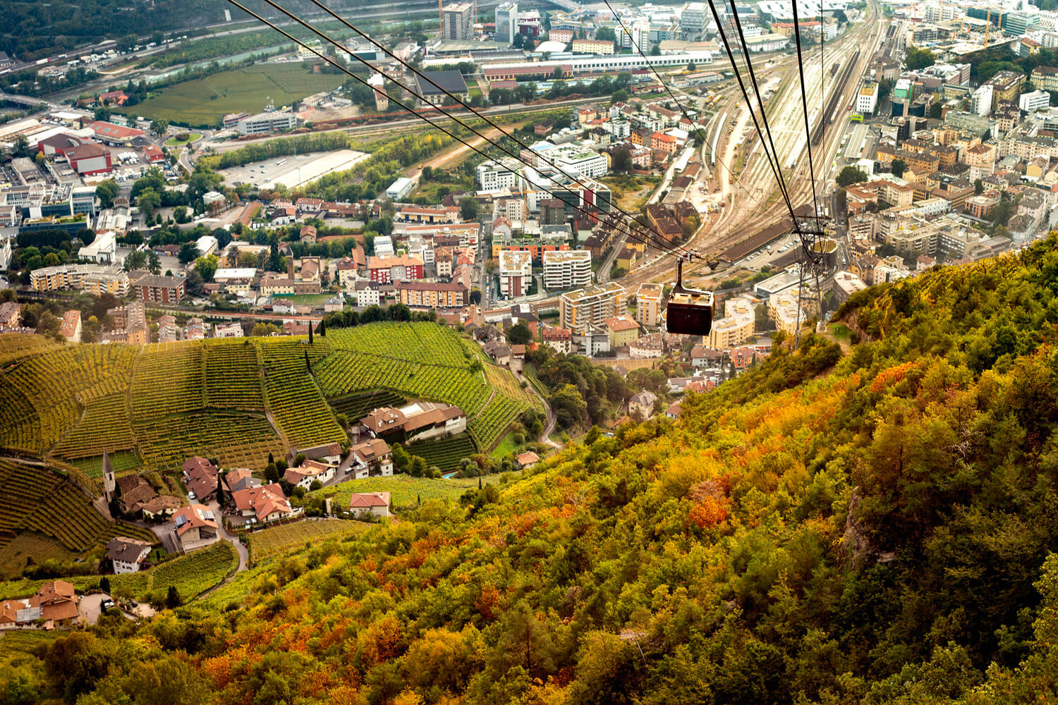 A cable car descends over a vibrant, patchwork landscape where the rich greens of vineyard rows meet the colorful autumn foliage, with a bustling cityscape stretching into the distance, showing the border between nature and urban development.