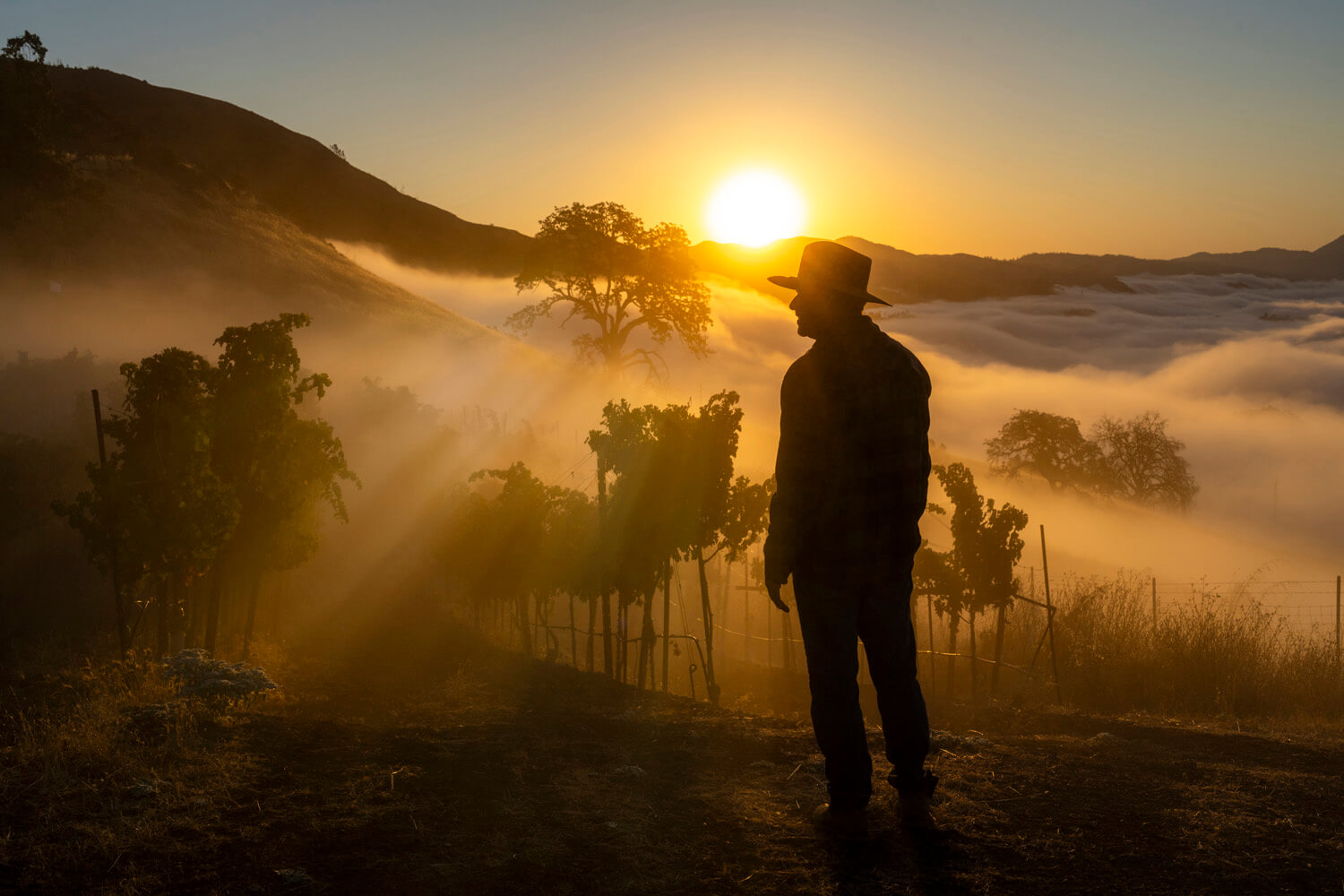 A silhouette of a person wearing a hat stands on a hillside at sunrise, with the sun casting a warm glow and mist in the valleys below. The person appears contemplative, gazing into the middle distance as the early morning light breaks through the low clouds, highlighting the undulating landscape.