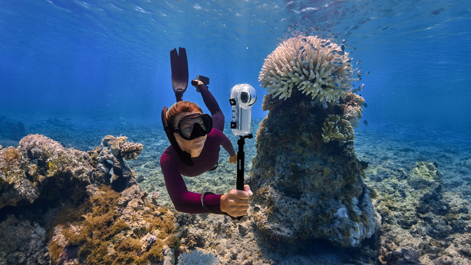 An underwater scene with a diver, wearing a mask, snorkel, and wetsuit, swimming next to a coral formation and holding a 360-degree camera mounted on a stick.