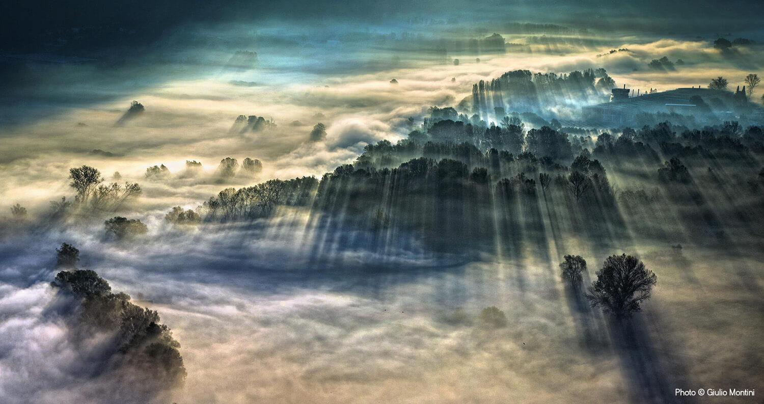 Aerial view of a forest shrouded in mist during sunrise, with rays of light piercing through the tree canopy, creating a serene, ethereal landscape.