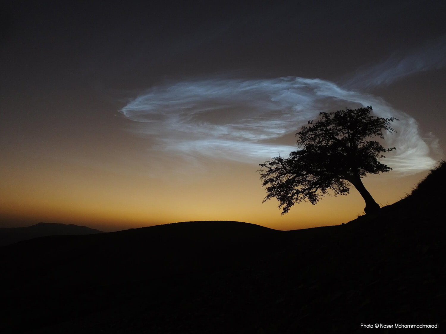 A solitary tree stands against the backdrop of a twilight sky, with a surreal, spiraling noctilucent cloud glowing above the rolling hills.